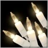 Clear 50 Lights With White Cord