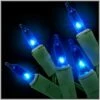 Blue 100 Lights With Green Cord