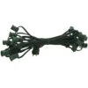 25 Socket C7 25 Foot Cord