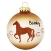 Personalized Horse With Horseshoes Glass Ornament