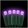 Purple LED 50 Rectified Conical Light Set