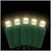 Warm White LED 50 Rectified Conical Light Set On Green Cord