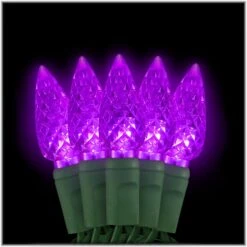 Purple C6 LED 50 Light Set