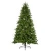 7 Foot Grand PE Dual Pre-Lit Clear And Multi LED Artificial Tree