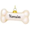Personalized Dog Bone Formed Glass Ornament