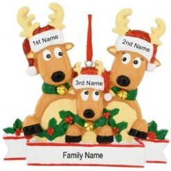 Personalized Reindeer Family Of 3 Ornament -Christmas Decoration Store 1200293 web 3
