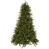 6.5 Ft. Plympton Tree With 800 Warm White LED Lights
