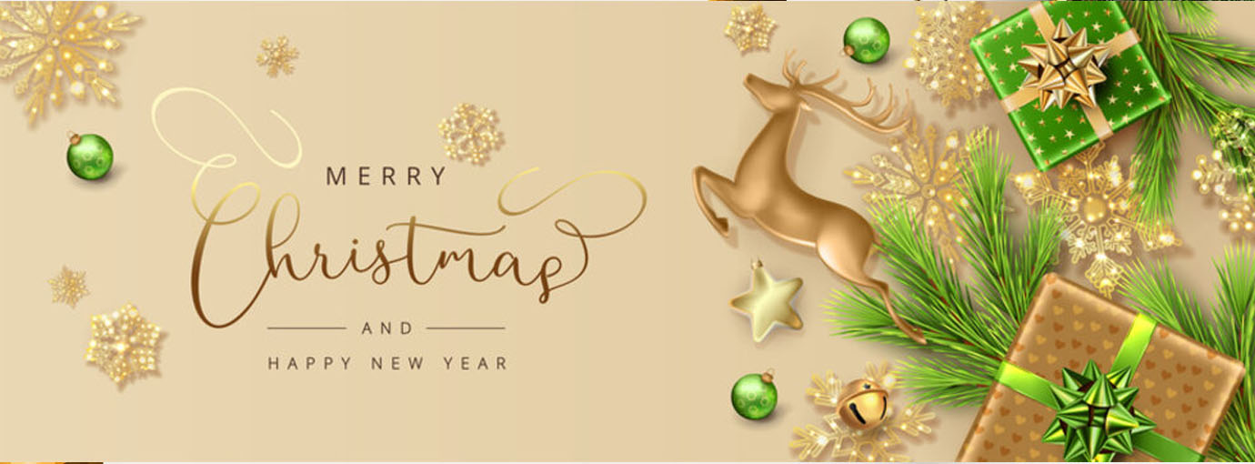 Christmas Decoration Store -Christmas Decoration Store 131